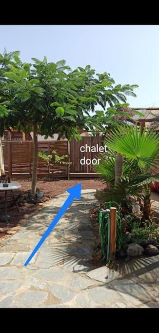 Beautiful Chalet With Wifi And Free Parking 阿罗纳 外观 照片